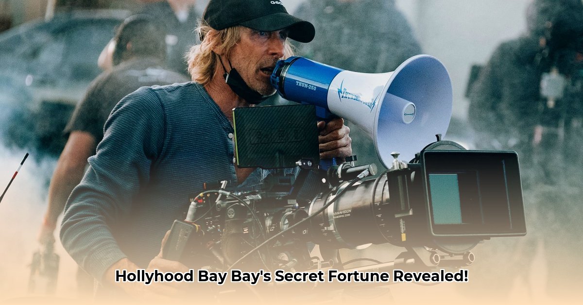 hollyhood-bay-bay-net-worth